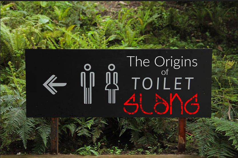 Skip To My Loo The Origins Of Toilet Slang Bathroom Fun 