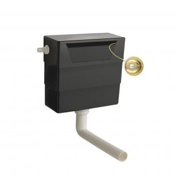 Hudson Reed Universal Access Dual Flush Concealed WC Cistern with Brushed Brass Button