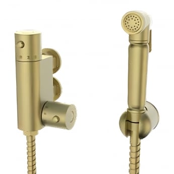 Prestige Douche Spray Kit with Handset Holder and Thermostatic Valve - Brushed Brass