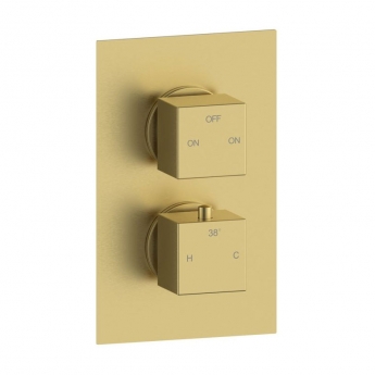 Signature Advance Thermostatic 2 Outlet Concealed Shower Valve Dual Handle - Brushed Brass