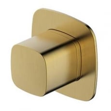 RAK Petit Square Concealed Diverter For Dual Outlet - Brushed Gold