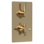 Hudson Reed Tec Pura Concealed Shower Valve Dual Handle - Brushed Brass