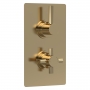 Hudson Reed Tec Pura Concealed Shower Valve with Diverter Dual Handle - Brushed Brass