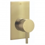 JTP Vos Concealed Manual Shower Valve Single Handle - Brushed Brass