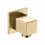 Signature Square Wall Outlet Elbow - Brushed Brass