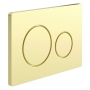 Signature Round Push Button Dual Flush Plate - Brushed Brass