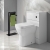 Delphi Halite Back to Wall WC Unit 500mm Wide - White