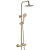 Delphi Verdura Thermostatic Bar Mixer Shower with Fixed Head and Shower Kit - Brushed Brass