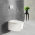 Geberit Sigma70 Dual Flush Plate - Matt White