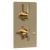 Hudson Reed Tec Pura Concealed Shower Valve Dual Handle - Brushed Brass