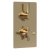 Hudson Reed Tec Pura Concealed Shower Valve with Diverter Dual Handle - Brushed Brass