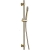 Sagittarius Ergo Shower Slide Rail and Handset Kit - Brushed Brass